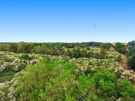 Lot 7 Cow Creek Road Damon TX 77430