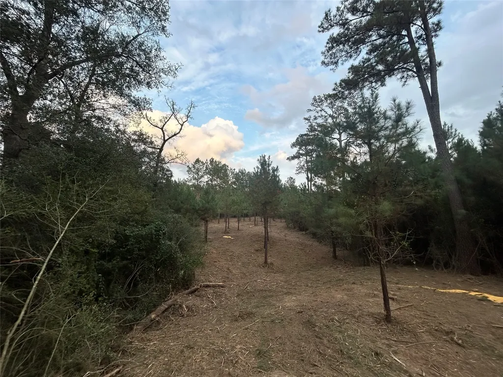 Tract 12 Fm 230 Lovelady TX 77854