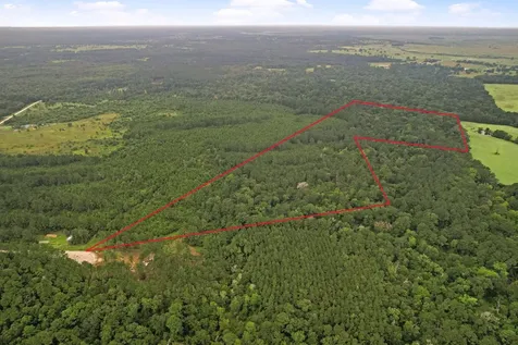 Tract 12 Fm 230 Lovelady TX 77854