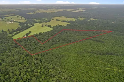 Tract 12 Fm 230 Lovelady TX 77854