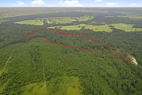Tract 12 Fm 230 Lovelady TX 77854