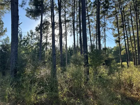 Tract 12 Fm 230 Lovelady TX 77854