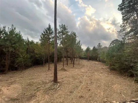 Tract 12 Fm 230 Lovelady TX 77854