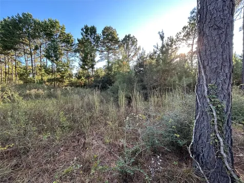 Tract 12 Fm 230 Lovelady TX 77854