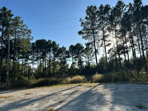 Tract 12 Fm 230 Lovelady TX 77854