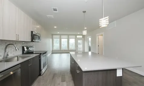 4819 Caroline Street 206 Houston TX 77004