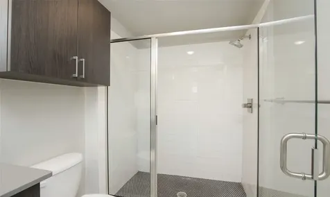 4819 Caroline Street 206 Houston TX 77004