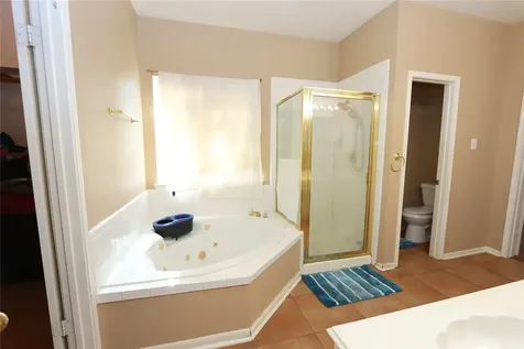 1505 Ash Run Court Pearland TX 77581