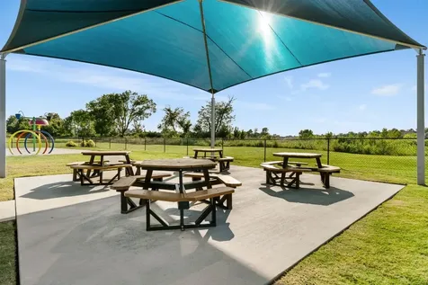 239 Little Dog Drive Montgomery TX 77356