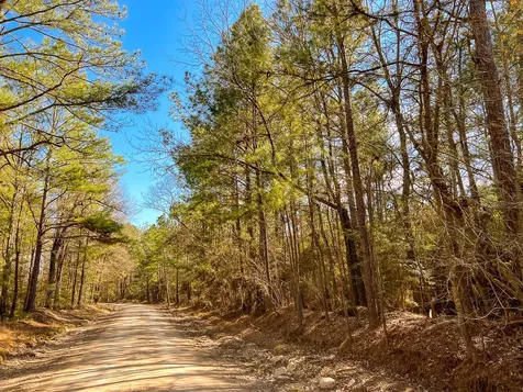 15 Union Springs Road Corrigan TX 75939