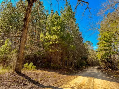 15 Union Springs Road Corrigan TX 75939