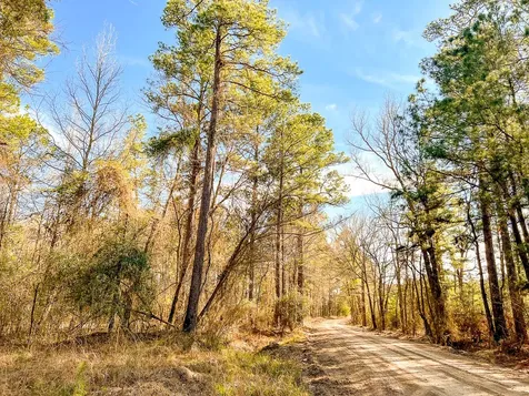 15 Union Springs Road Corrigan TX 75939