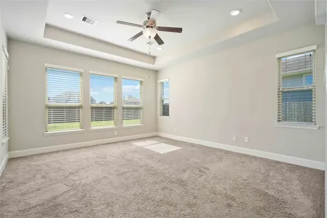 2710 Big Vine Court Missouri City TX 77459