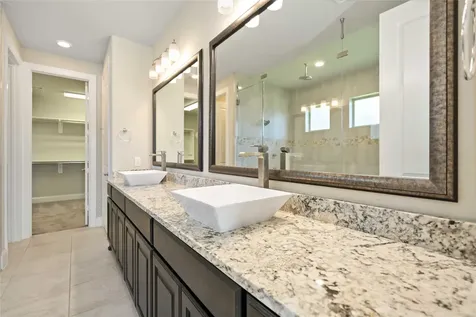 2710 Big Vine Court Missouri City TX 77459