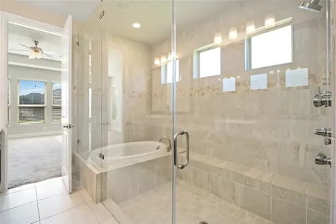 2710 Big Vine Court Missouri City TX 77459