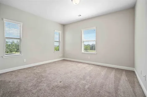 2710 Big Vine Court Missouri City TX 77459