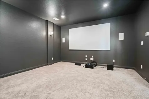 2710 Big Vine Court Missouri City TX 77459