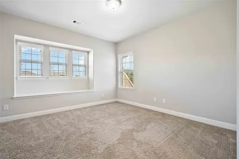 2710 Big Vine Court Missouri City TX 77459
