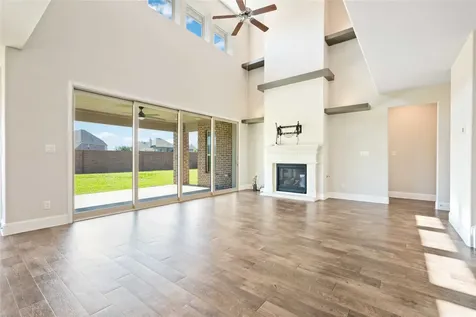 2710 Big Vine Court Missouri City TX 77459
