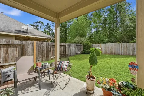 30614 Woodson Trace Drive Spring TX 77386