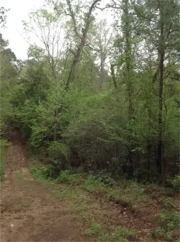 1800 County Road Goodrich TX 77335