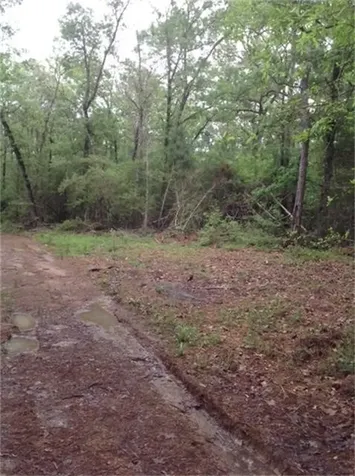 1800 County Road Goodrich TX 77335