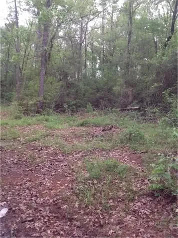 1800 County Road Goodrich TX 77335