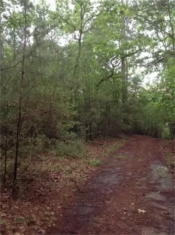 1800 County Road Goodrich TX 77335