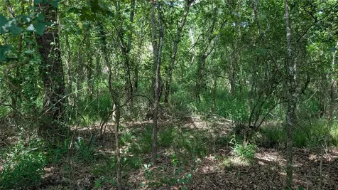 2619 County Road 289 East Bernard TX 77435