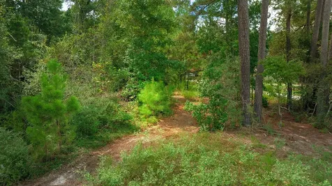 Tbd Sky Oak Lane Huntsville TX 77340