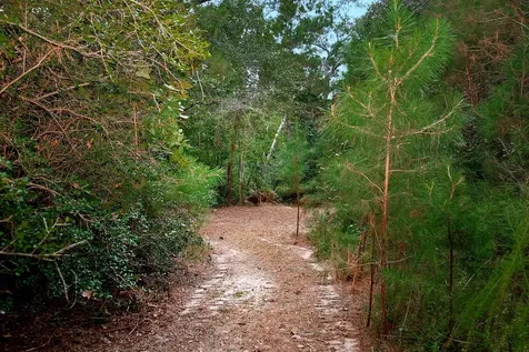 Tbd Sky Oak Lane Huntsville TX 77340