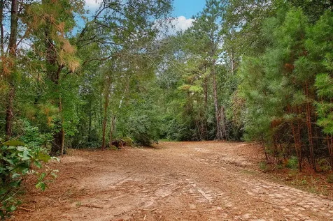 Tbd Sky Oak Lane Huntsville TX 77340