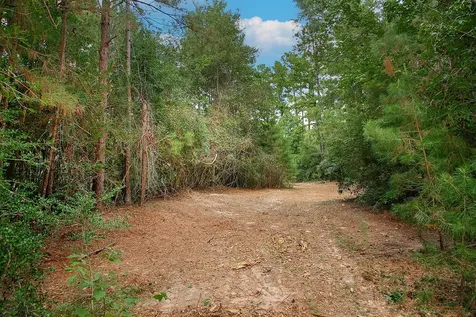 Tbd Sky Oak Lane Huntsville TX 77340