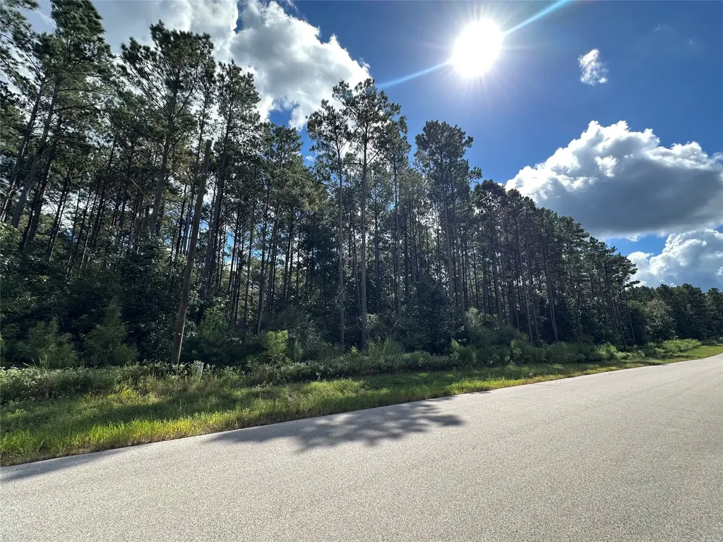 4A-11-44 Sundog Road Huntsville TX 77340