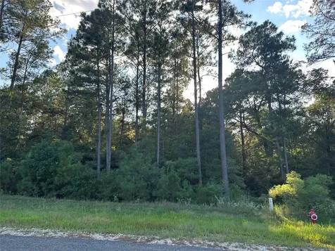 4A-11-44 Sundog Road Huntsville TX 77340