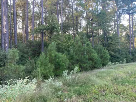 4A-11-44 Sundog Road Huntsville TX 77340
