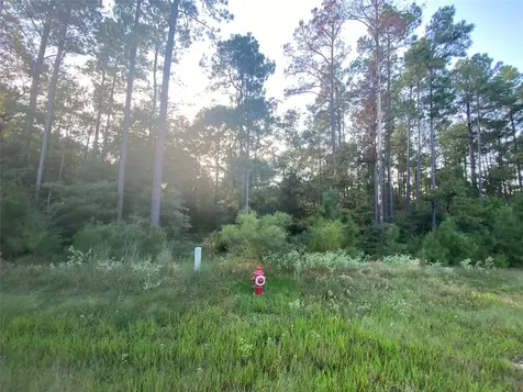 4A-11-44 Sundog Road Huntsville TX 77340