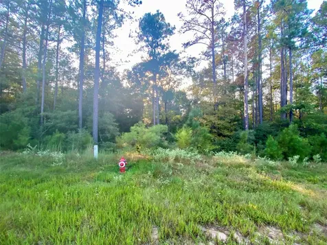 4A-11-44 Sundog Road Huntsville TX 77340
