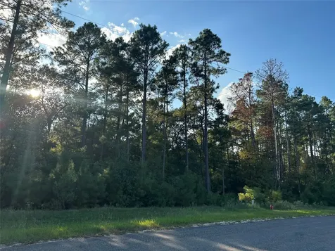 4A-11-44 Sundog Road Huntsville TX 77340