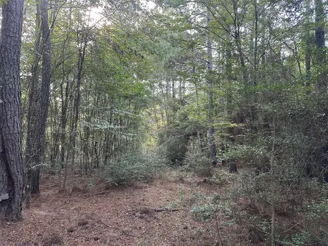 4A-11-44 Sundog Road Huntsville TX 77340