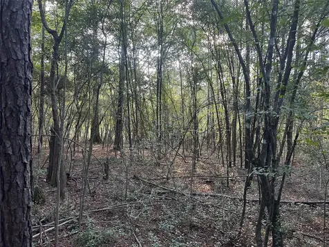 4A-11-44 Sundog Road Huntsville TX 77340