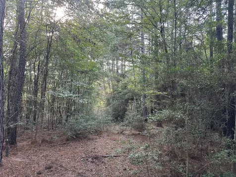 4A-11-44 Sundog Road Huntsville TX 77340