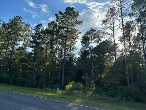 4A-11-44 Sundog Road Huntsville TX 77340