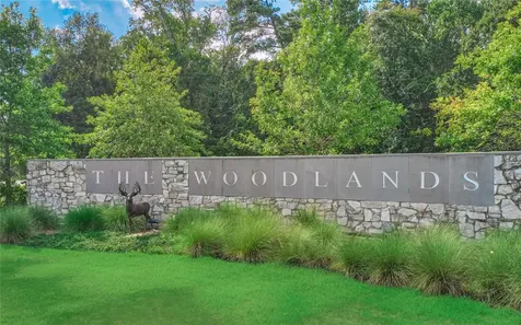 42 Secluded Trail The Woodlands TX 77380