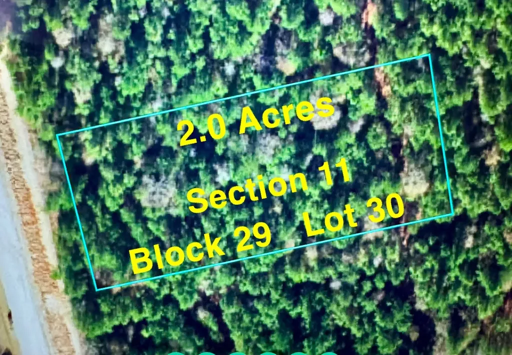 11-29-30 Grey Feather Road Huntsville TX 77340