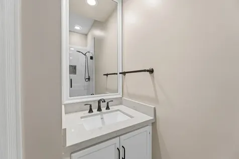 17 Buttonbush Court The Woodlands TX 77380