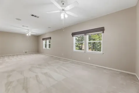 17 Buttonbush Court The Woodlands TX 77380