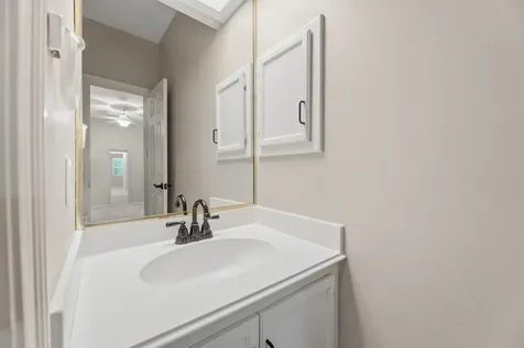 17 Buttonbush Court The Woodlands TX 77380