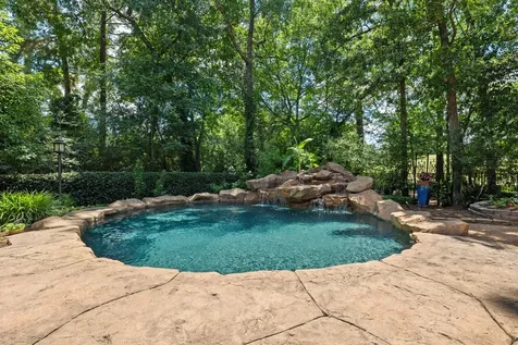 17 Buttonbush Court The Woodlands TX 77380