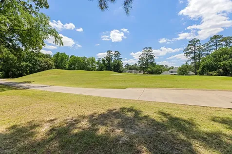 17 Buttonbush Court The Woodlands TX 77380